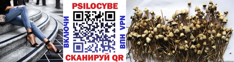 Псилоцибиновые грибы Cubensis  mega tor  Шиханы 